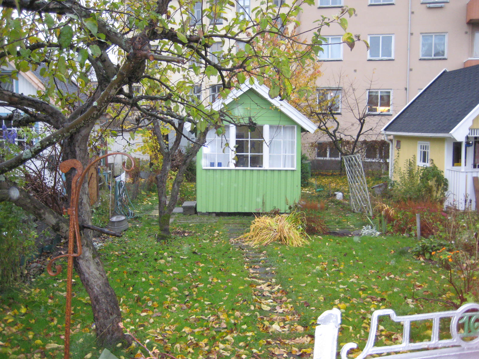 [IMG_0298.JPG]
