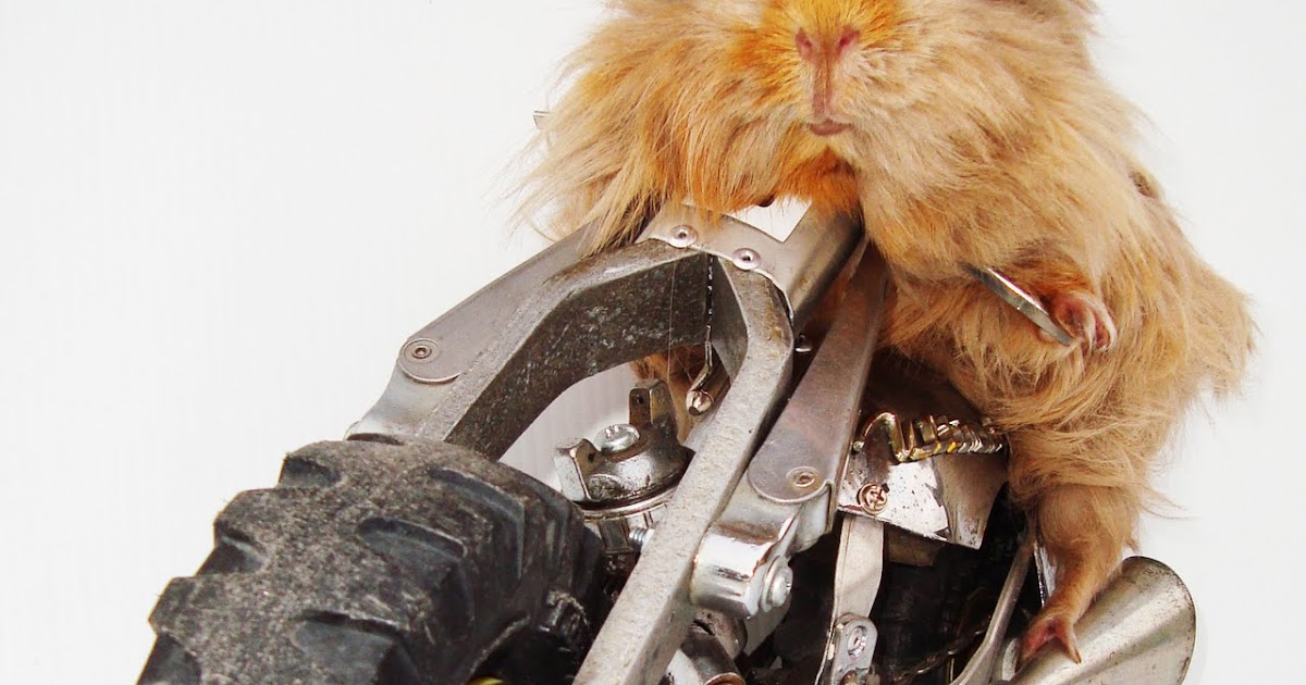 Horspool Robot Sculpture motorbike and guinea pig