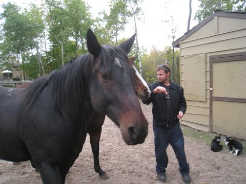 [ryanhorse.jpg]
