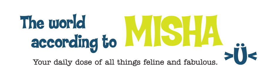 The World According to Misha