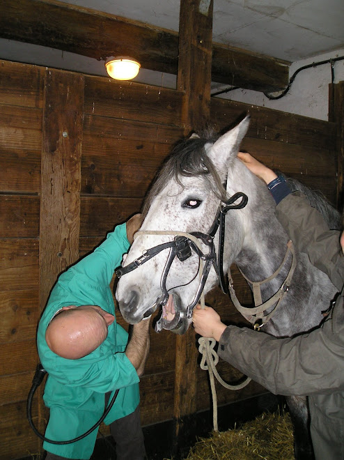 visite du dentiste Févier 2008