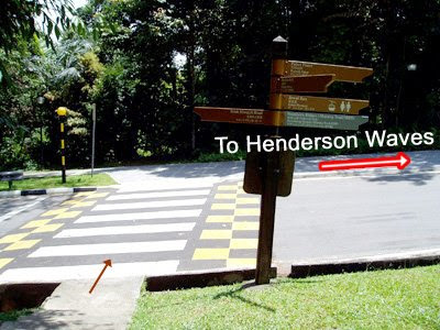 20_TurnRightToHendersonWaves