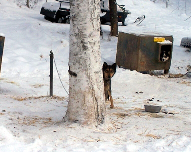 [TysonHides_edited.jpg]