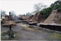 Indonezja - wioska Indian
