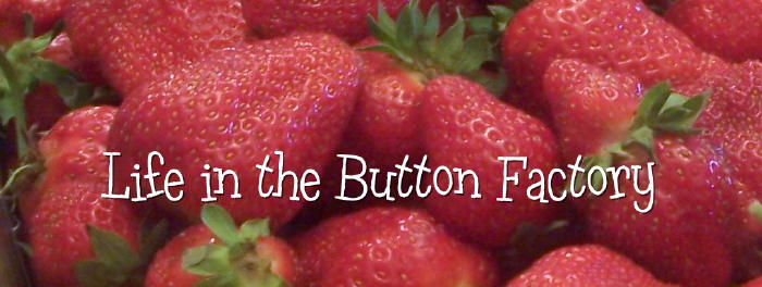 Life in the Button Factory