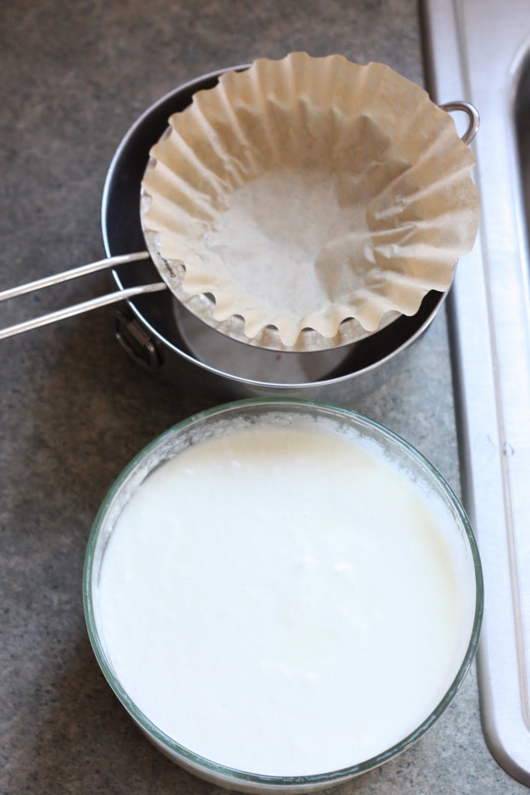 Zaaberry Homemade Yogurt