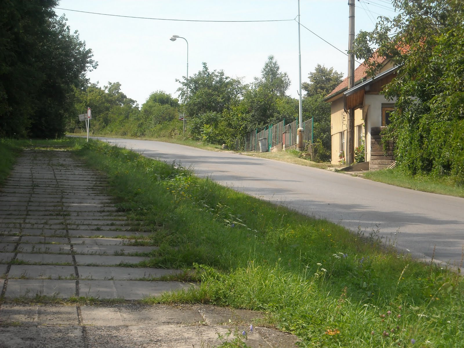[DSCN0390.JPG]
