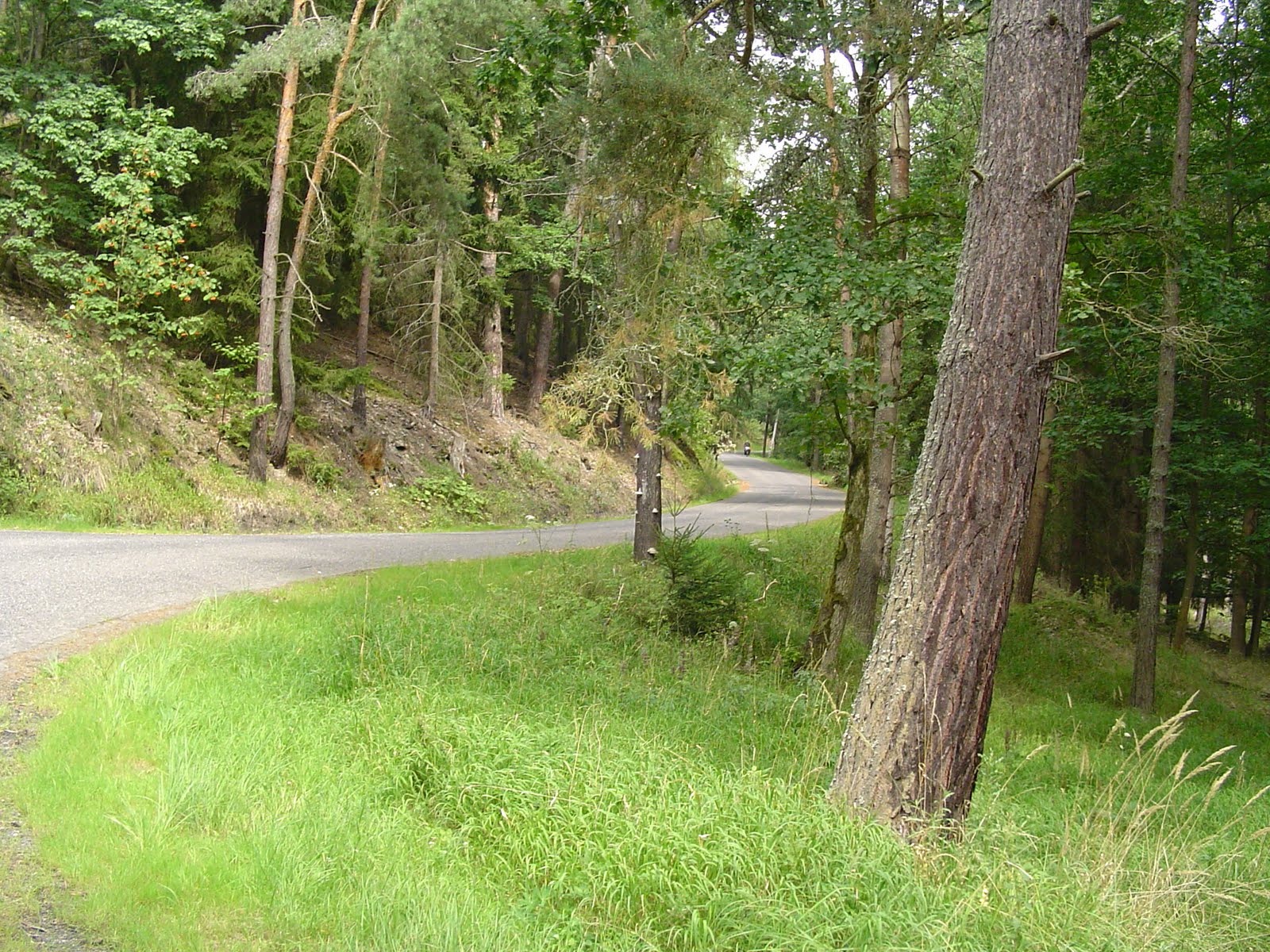 [DSC00762.JPG]