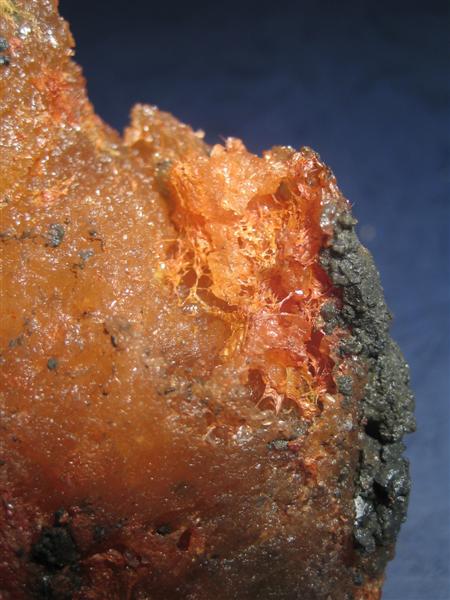 [IMG_4130+(Medium).jpg]