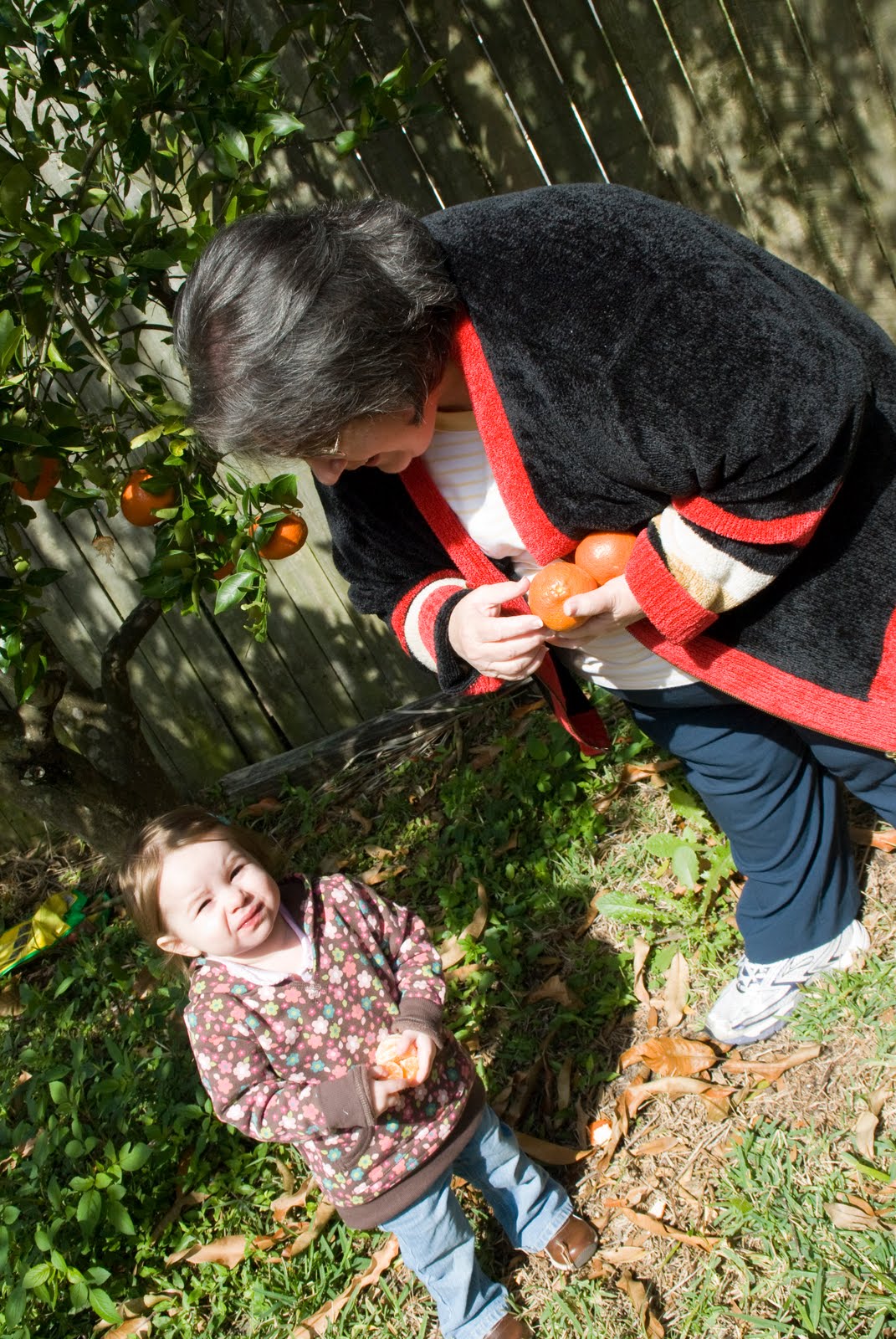 [20100211_3610+copy.jpg]