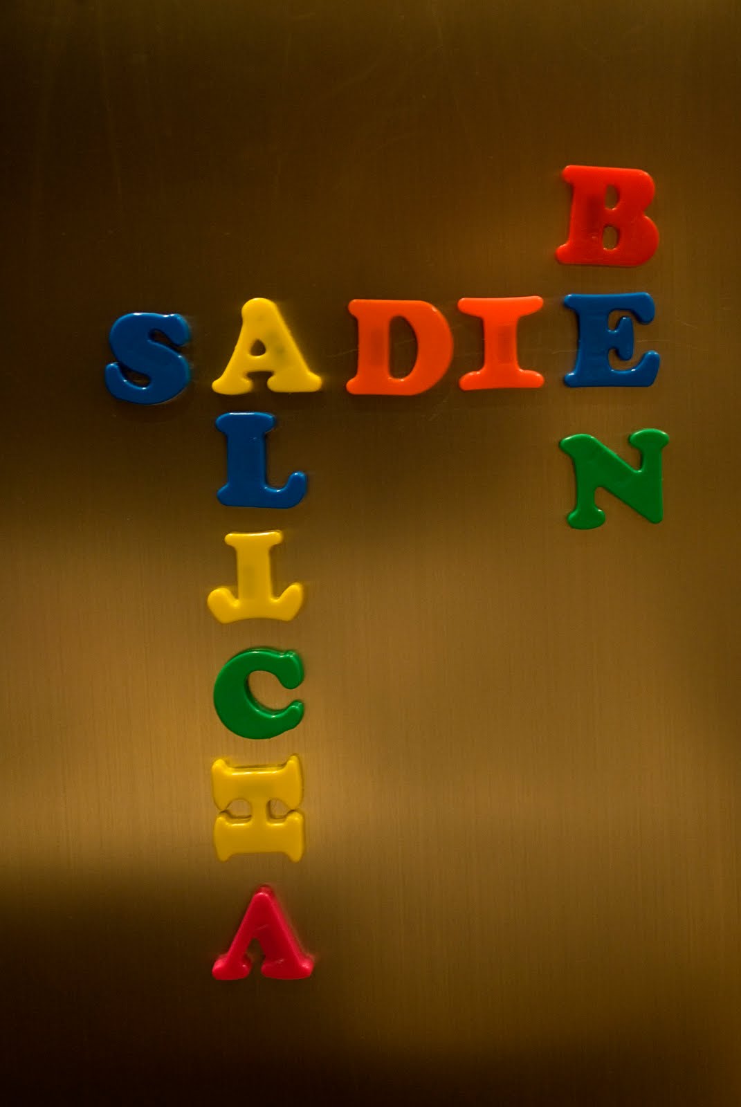 [20100209_3753+copy.jpg]