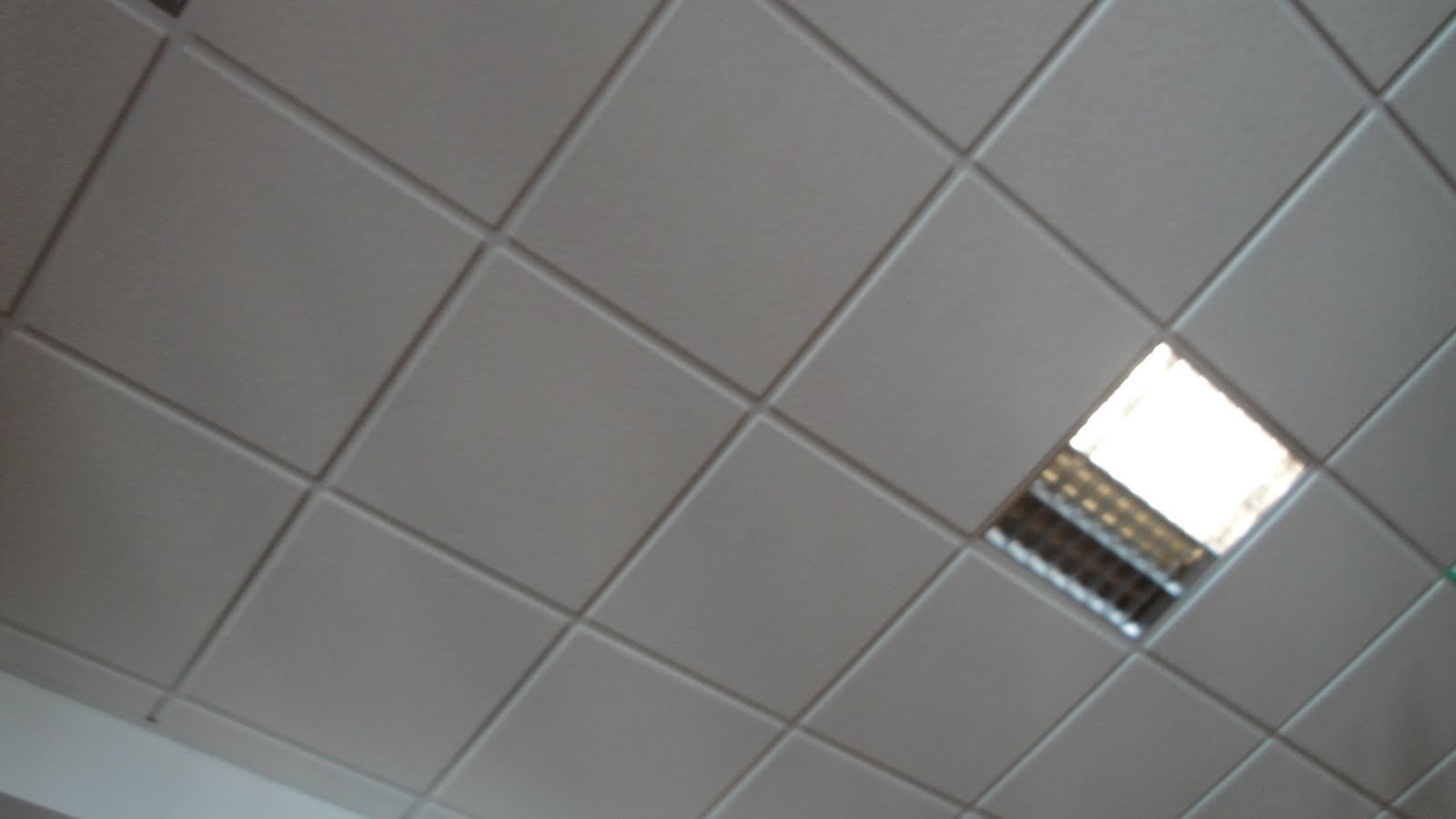 [DSC00061.JPG]