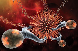 external image medicine.bmp?w=840