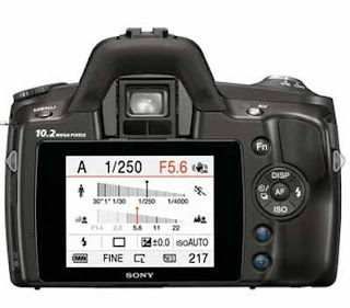 sony alpha 230 trasera
