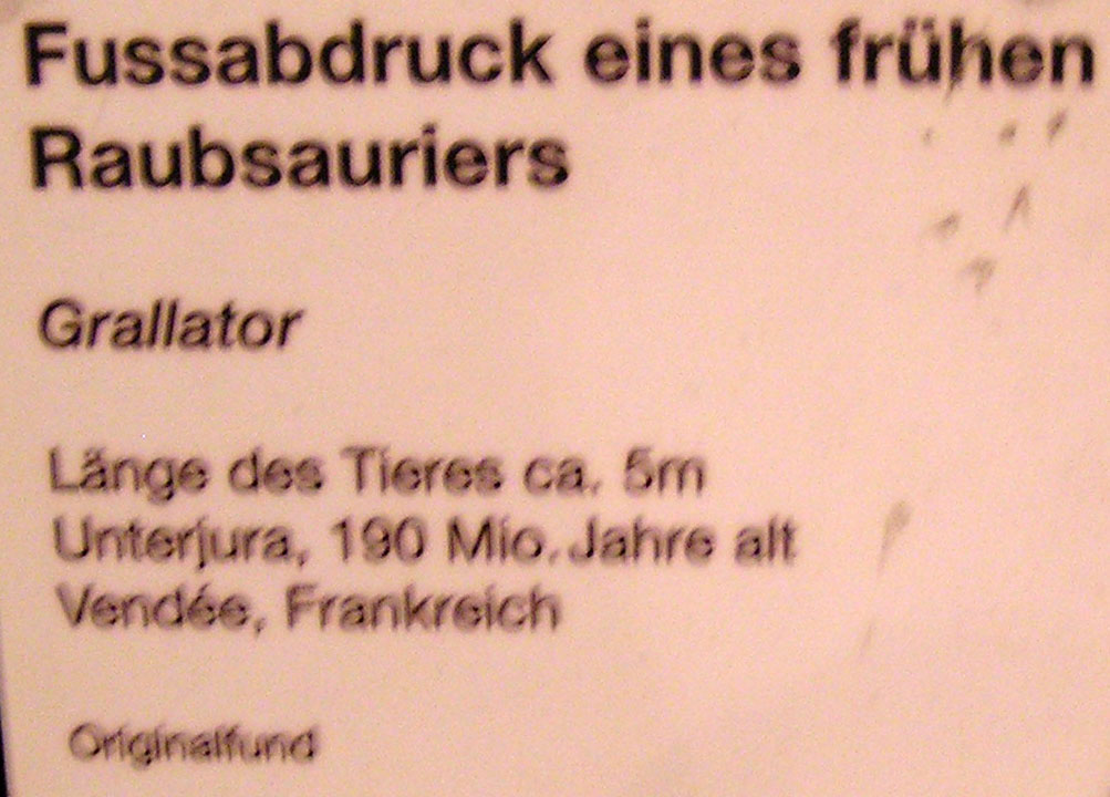 [DINOS-3.jpg]