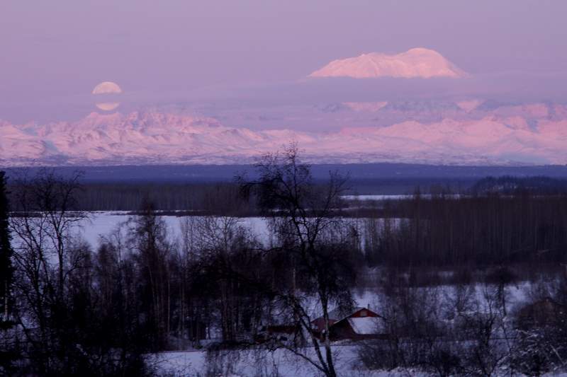 [PICT0563.JPG]