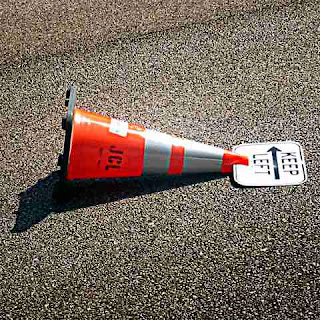 Fallen Conehead (c) David Ocker Fallen Conehead (c) David Ocker