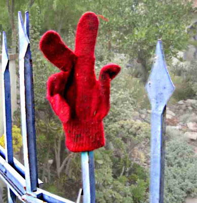 Gloves in the Wild (c) David Ocker