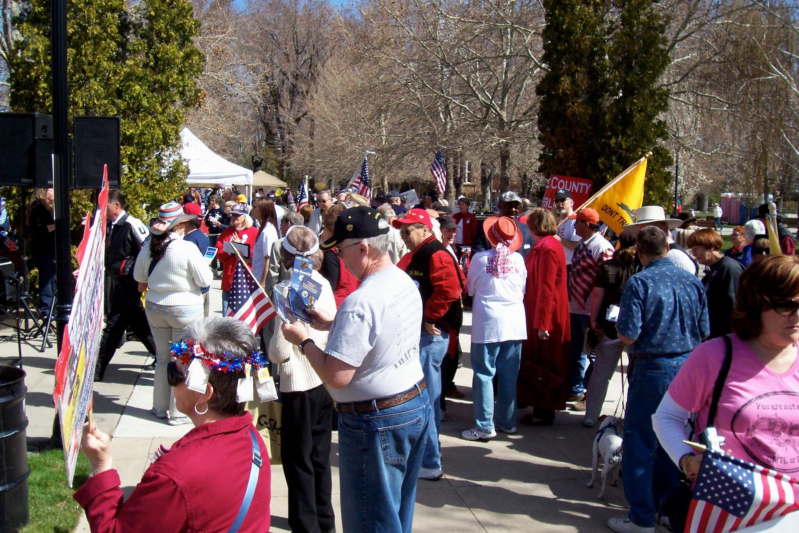 Woodsterman Carson City, NV Tea Party