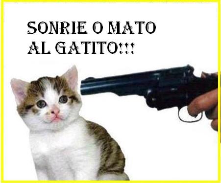 Sonrie_o_mato_al_gatito.jpg