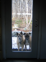 [snoops+and+caleb+at+the+door]