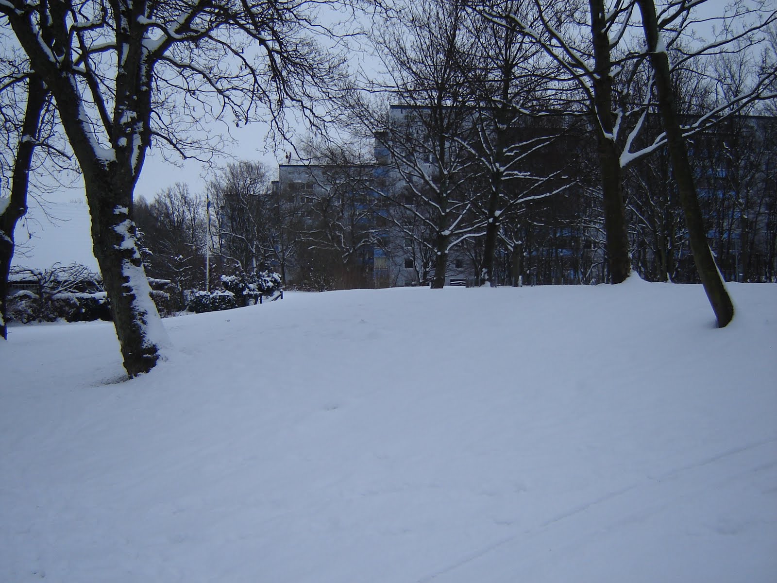 [DSC01587.JPG]