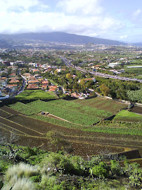 Excursión El Teide