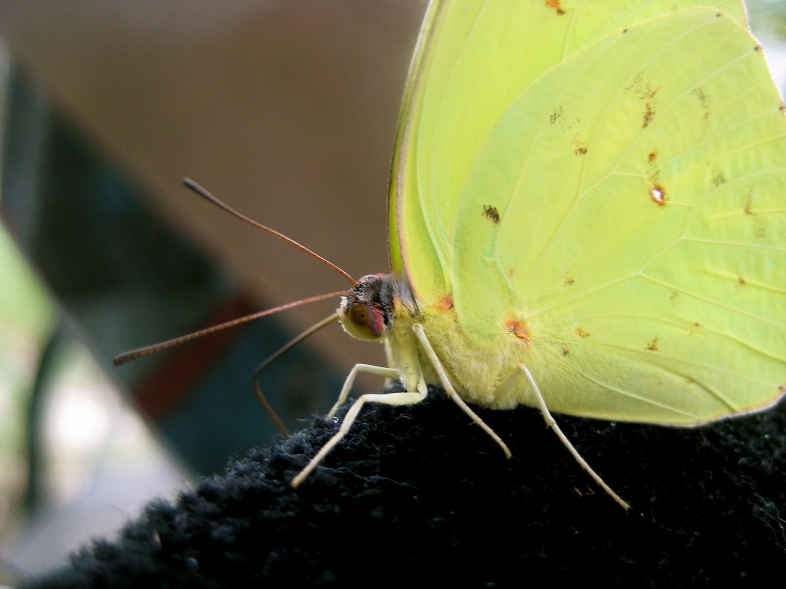 [IMG_3293_2.JPG]
