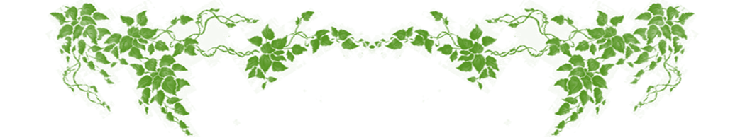 Vines