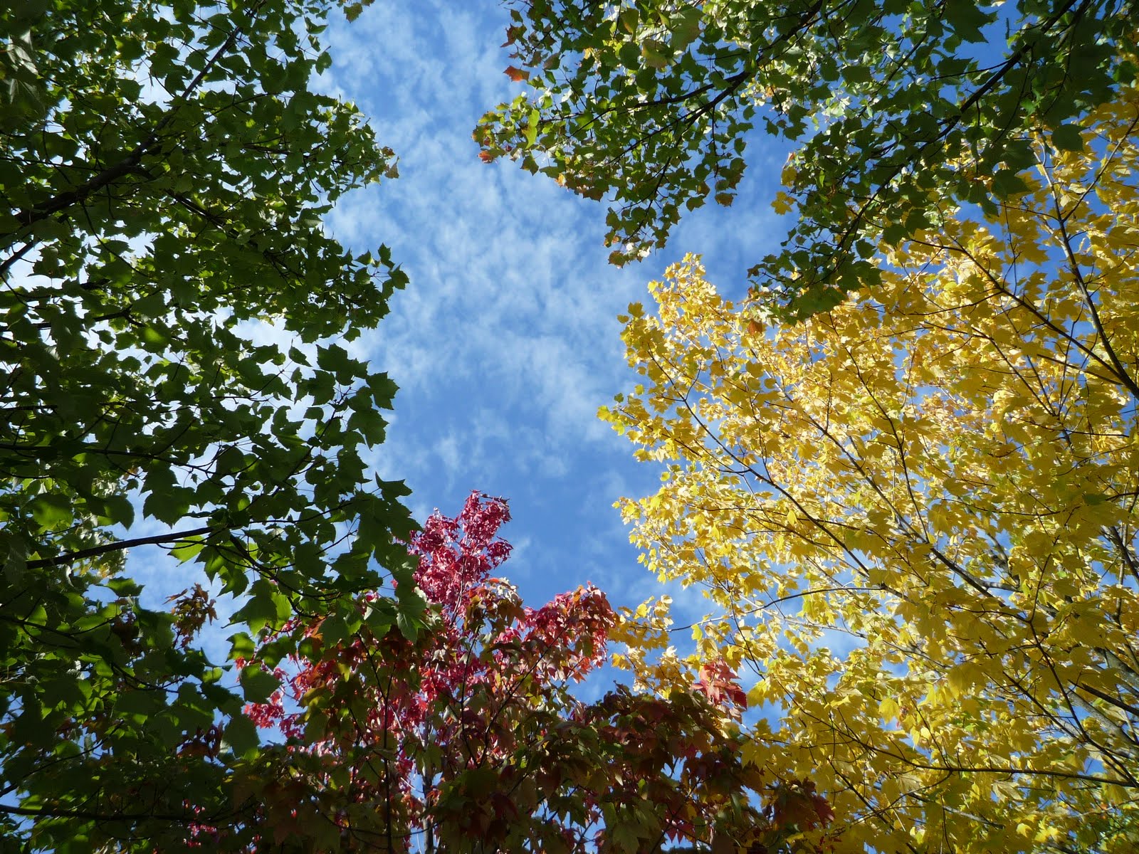[P1020270.JPG]