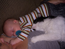 Riley & Aggie, the mockingcat