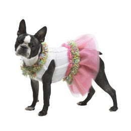 dogs in tutus