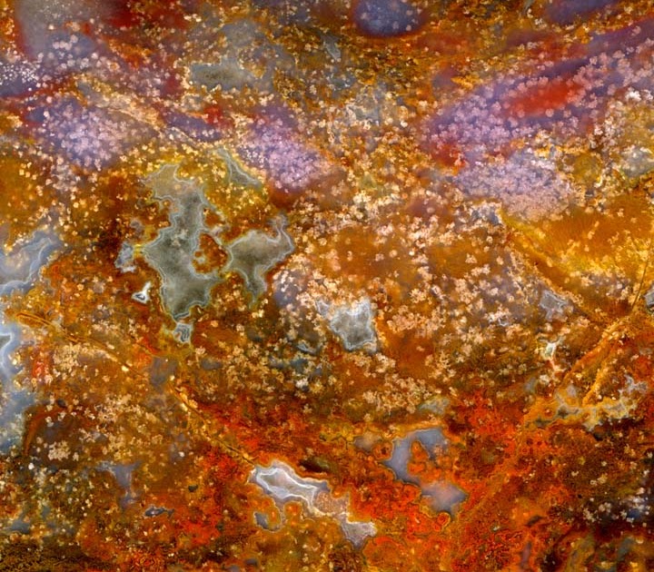 earth images: Maury Mountain Moss Agate