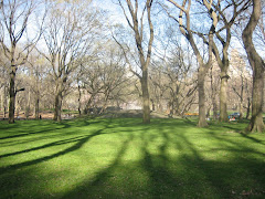 Central Park