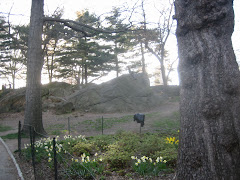 Central Park