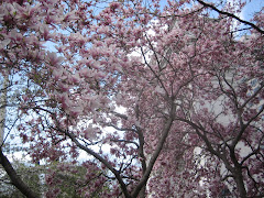 Washington Square Park