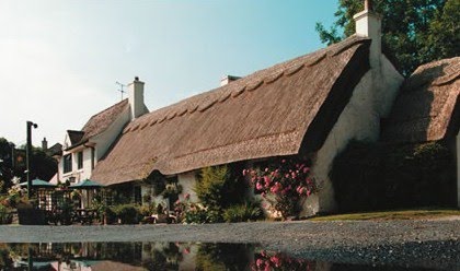 [star+inn+better+cropped.jpg]