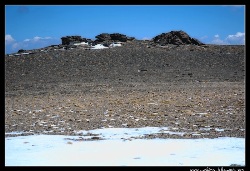 [DSC_0121.JPG]