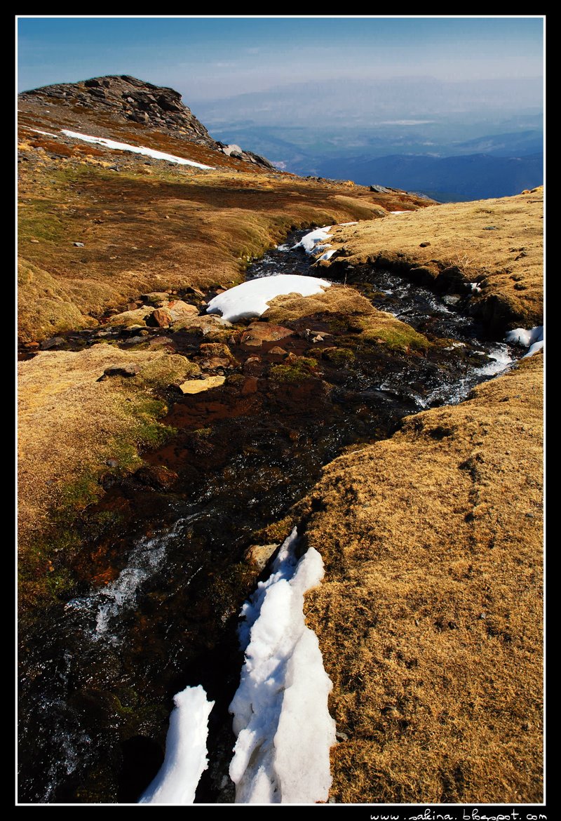 [DSC_0050.JPG]