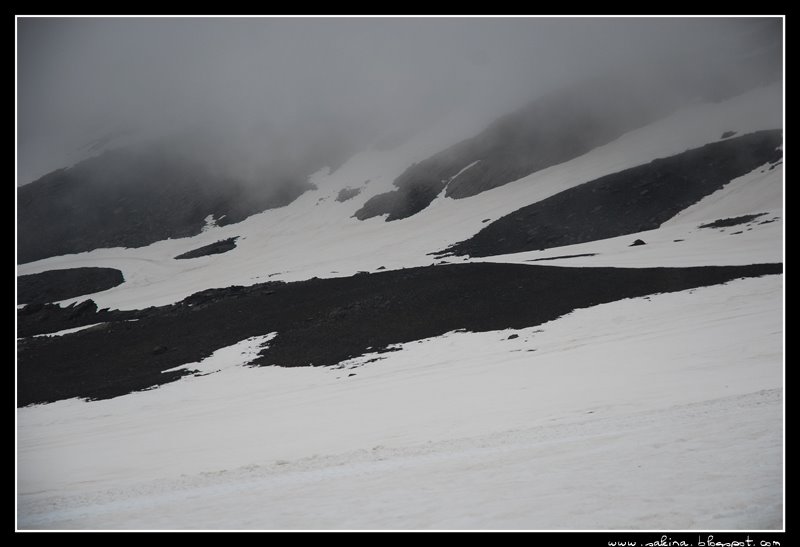 [DSC_0005.JPG]