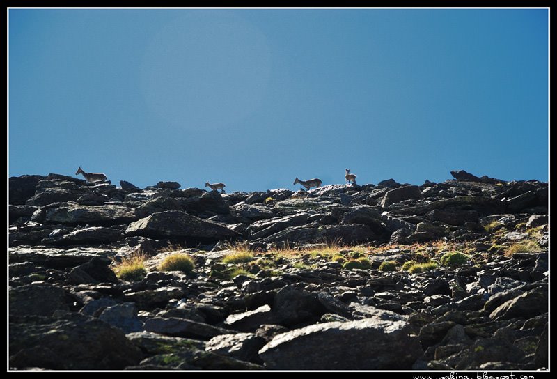 [DSC_0051.jpg]