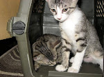 Buffy & Willow - Dec.2007