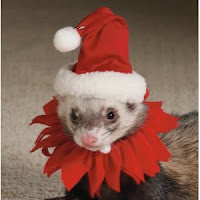 Fun Christmas Gift Fun Christmas Gift