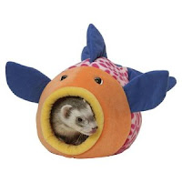 Fun Christmas Gift Fun Christmas Gift