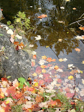 Autumn in Canada