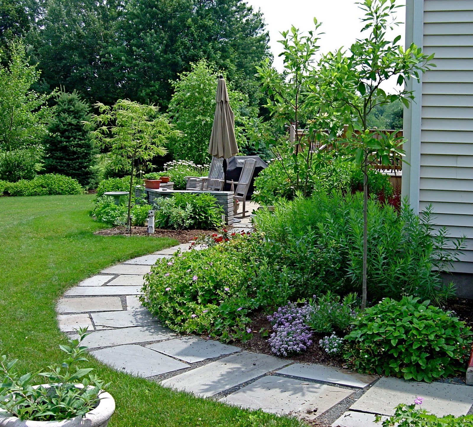 Pretty Small space gardening, Side garden, Backyard