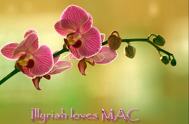 IllyriahlovesMAC