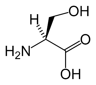 La reducción en la expresión de un gen del cromosoma 1q25 GLUL afectaría al glutamato y el metabolismo de la glutamina en las células endoteliales