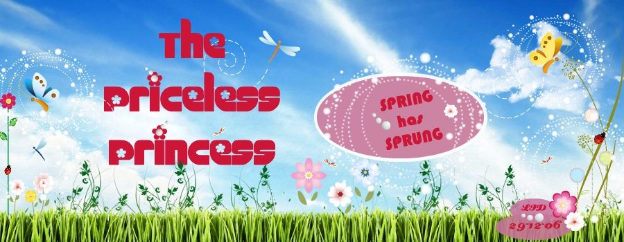 The Priceless Princess
