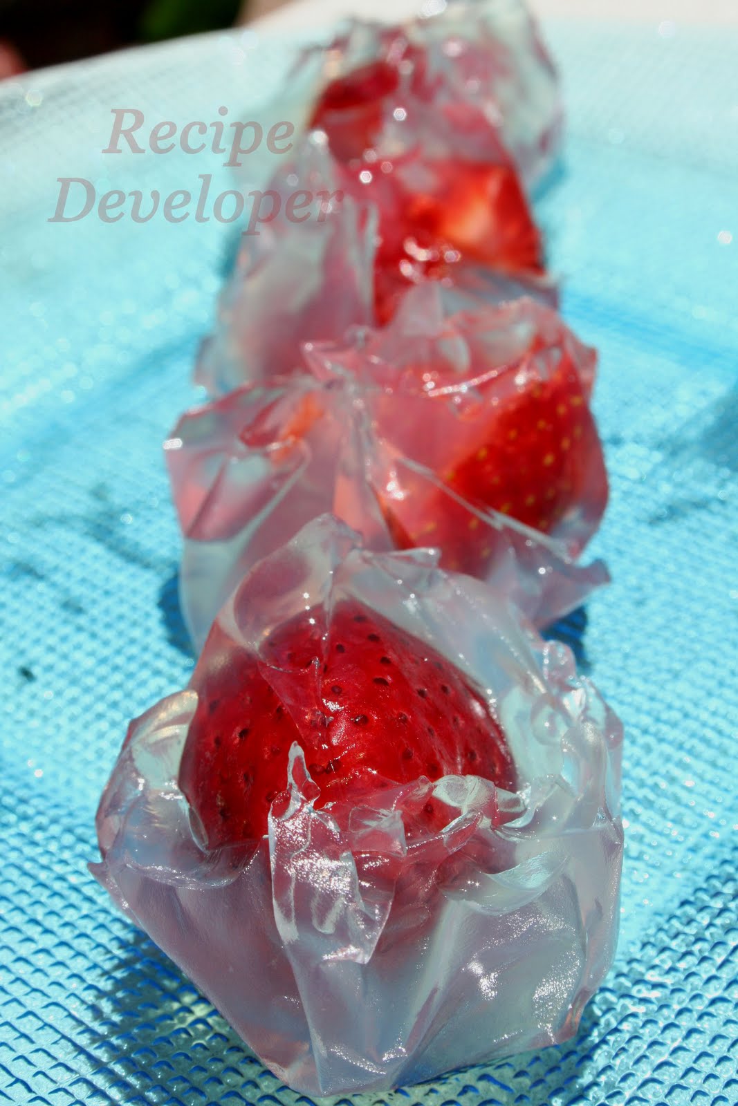 Recipe Developer Kanten Jelly 3